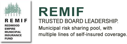 REMIF